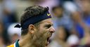 Del Potro storms into quarters