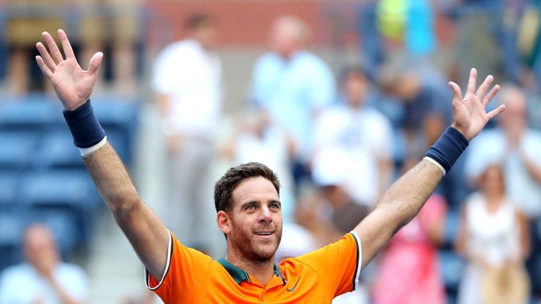 Juan Martin del Potro made it through to the US Open semi-finals for the second successive year