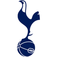 Image result for tottenham hotspur