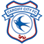 Cardiff City Club Badge