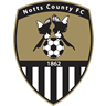 team badge