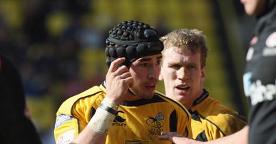 Cipriani: fine display