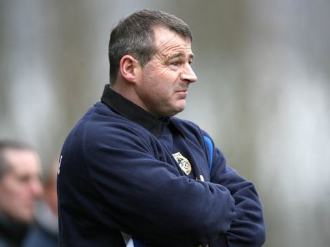 Image of McParland: Looking at pair
