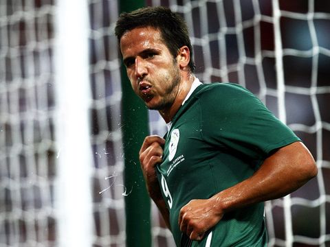 Image of Ljubijankic: Recovers for World Cup