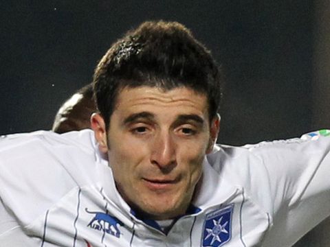 Image of Niculae: Will spend the remainder of the season with Nancy