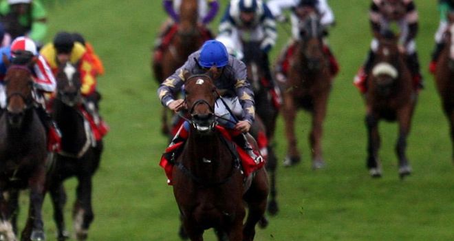 Never Can Tell: Set to miss Royal Ascot