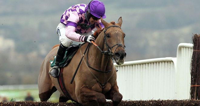 Time For Rupert: Could take in the Hennessy Gold Cup