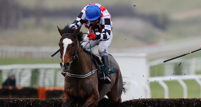 The Giant Bolster: Hennessy Gold Cup hopeful