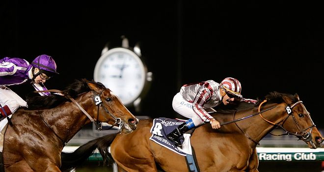 Cirrus Des Aigles: Will return to Ascot for King George and possible beforehand