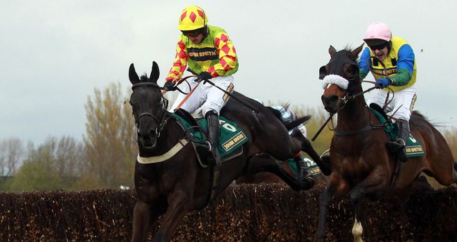 Saint Are: Will head straight to Newbury for his first run of the season in the Hennessy Gold Cup on December 1