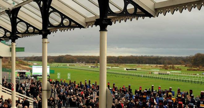 Newcastle&#39;s StanJames.com Fighting Fifth Hurdle meeting on Saturday is under threat from cold weather