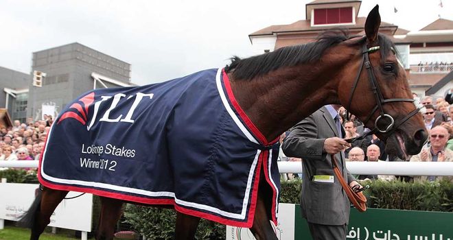 Frankel: Set to be one of the stars of 2012