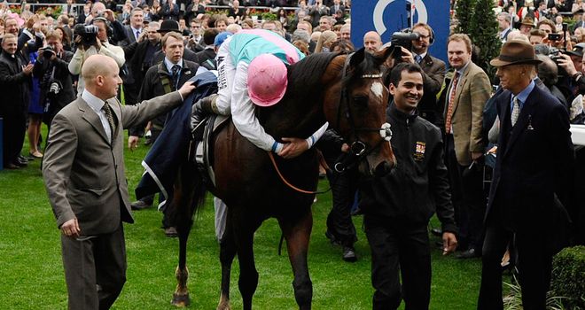 Frankel: Took his unbeaten record to 14 races before being retired in the wake of victory in the QIPCO Champion Stakes