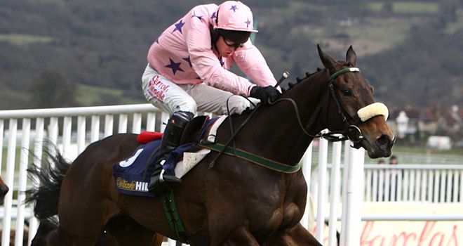 Go Native: due to run at Punchestown