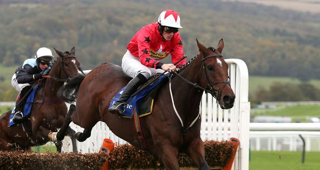 The New One: An intended runner at Warwick later this month