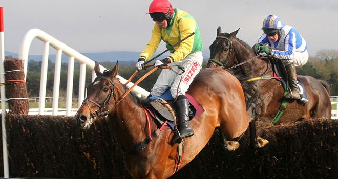 Sizing Europe: 10-year-old holds entries in the William Hill King George VI Chase at Kempton on Boxing Day, the Paddy Power Dial-A-Bet Chase at Leopardstow