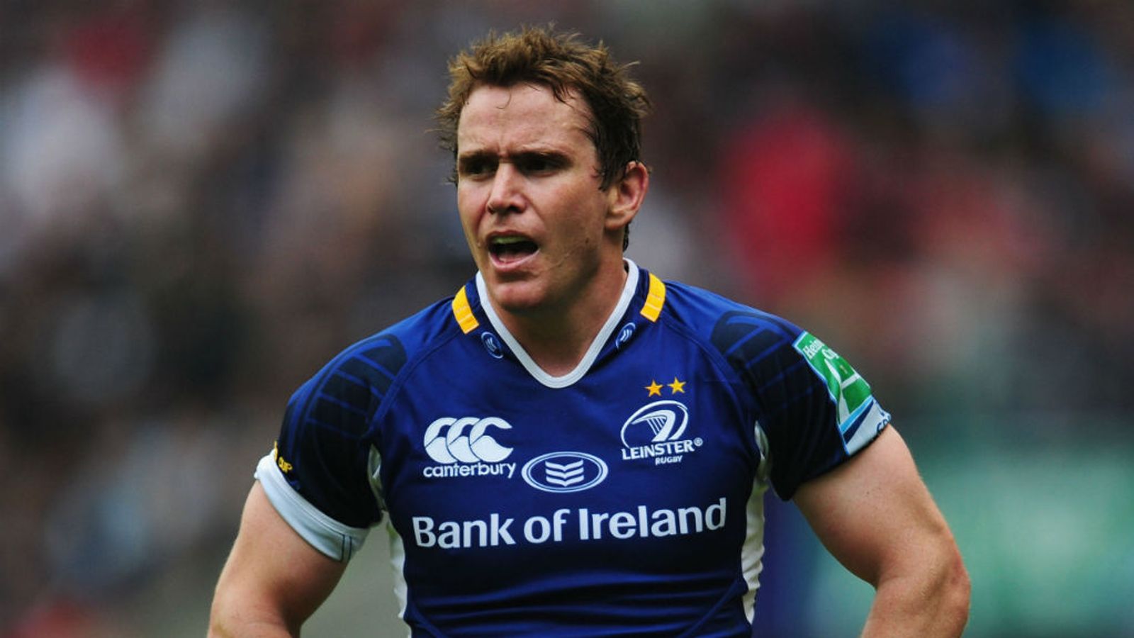 Eoin Reddan Leinster determined to win RaboDirect PRO12 title Rugby