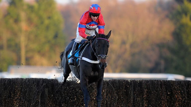 Sprinter Sacre faces eight rivals at Cheltenham if the meeting goes ahead