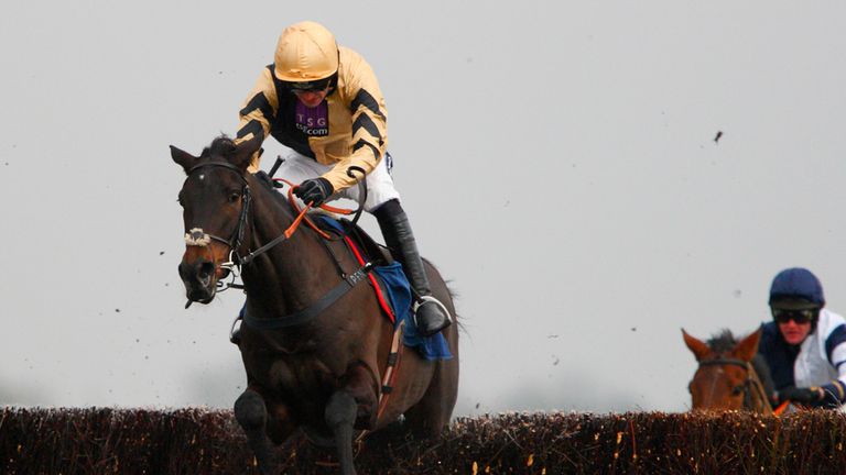 Fago: Impressed on his debut over fences and entered in the Jewson