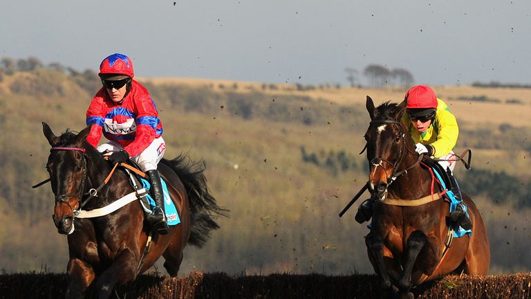 Sizing Europe (right) may not reoppose Sprinter Sacre (left) at Punchestown