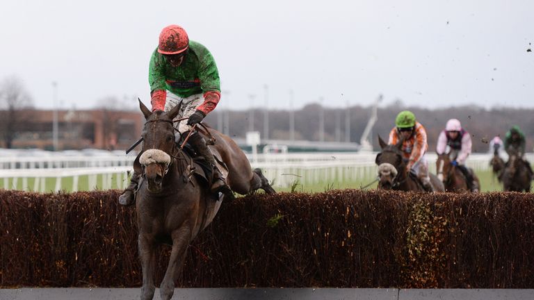 The Rainbow Hunter: Landed the Sky Bet Chase