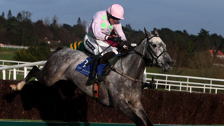Ballycasey: Impressed with his jumping