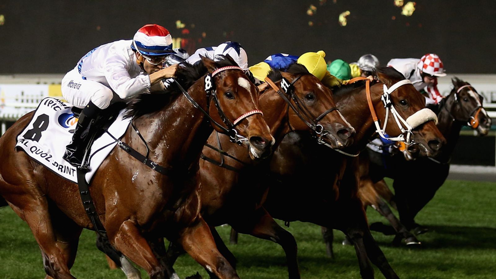 Stars of Dubai World Cup Night and Sydney Championships head Royal ...