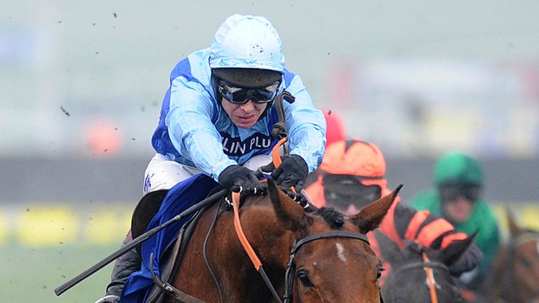 Fingal Bay: Could be aimed at the Hennessy Gold Cup