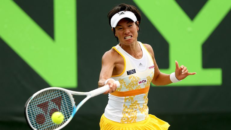 Kimiko Date will make her final appearance at next month's Japan Women's Open