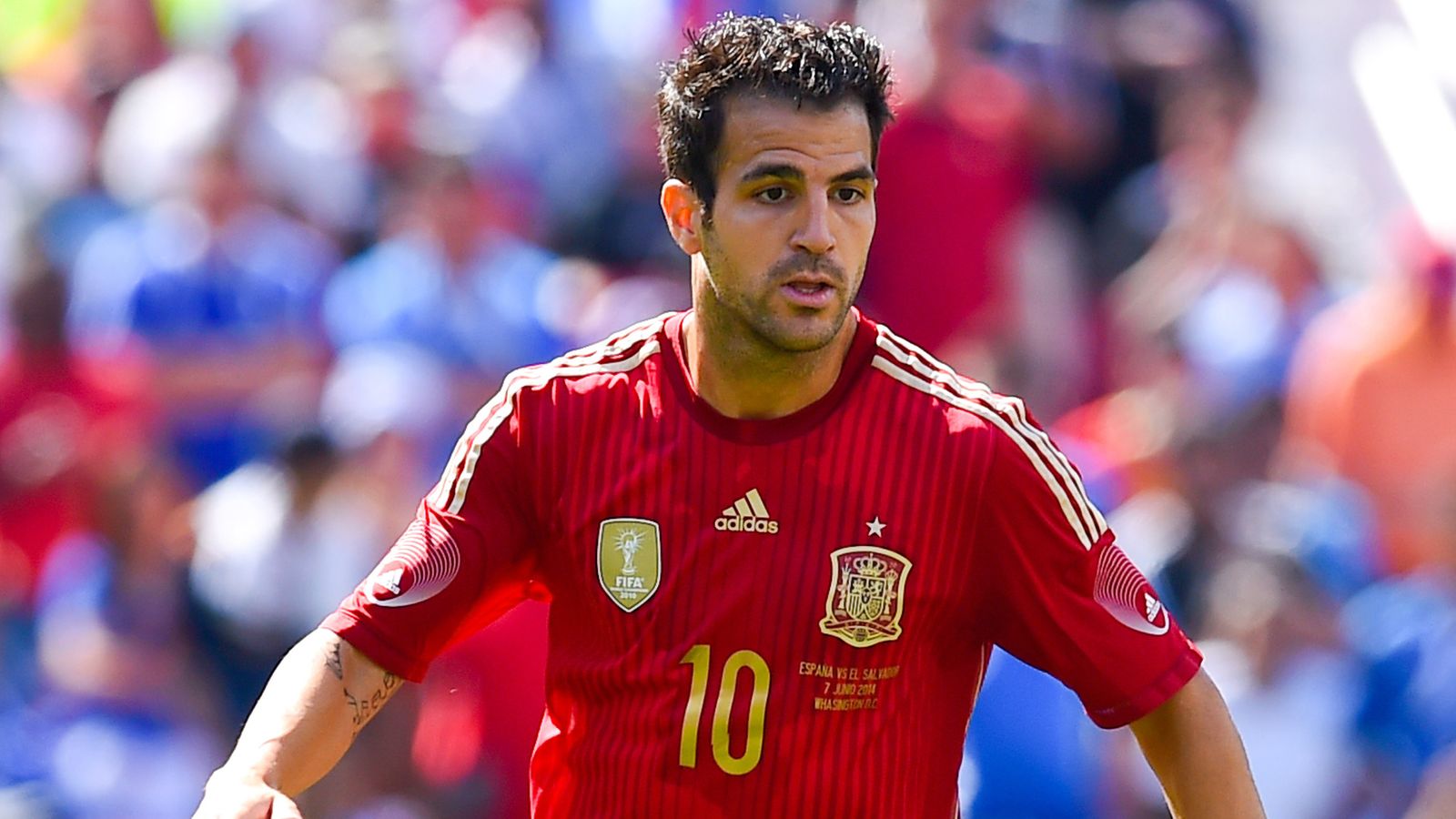 European Qualifiers: Chelsea midfielder Cesc Fabregas to be assessed by ...