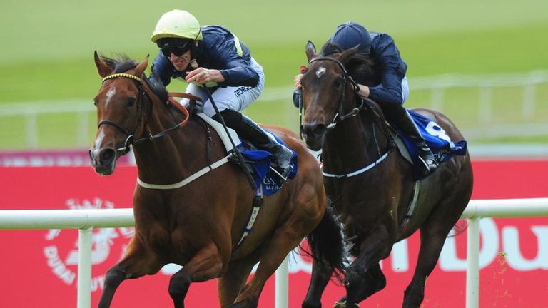 Thistle Bird: Produced a career-best effort to win the Pretty Polly Stakes