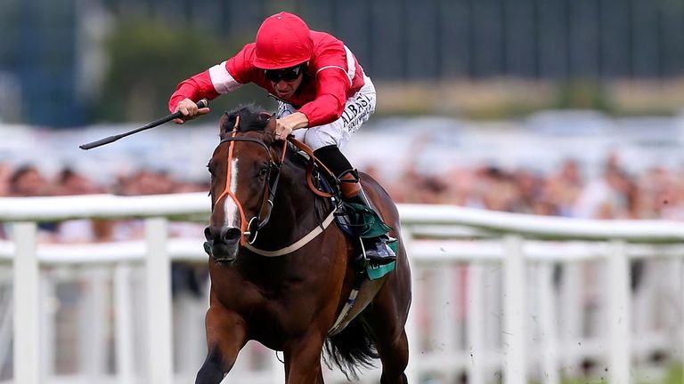 Richard Hannon is in no rush to confirm Tiggy Wiggy for the Nunthorpe Stakes at York.