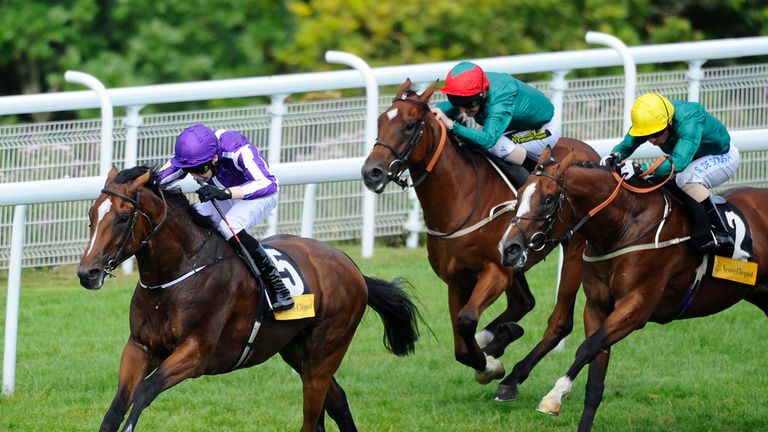 Highland Reel is among the 45 entries