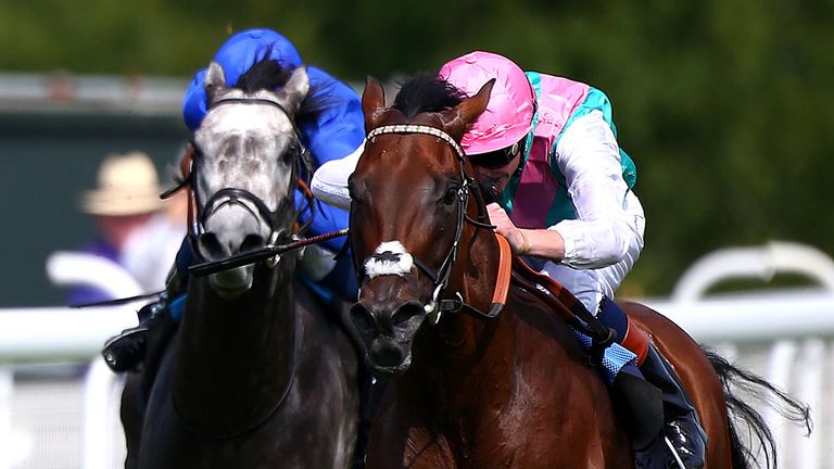 Kingman: Retired to stand at stud