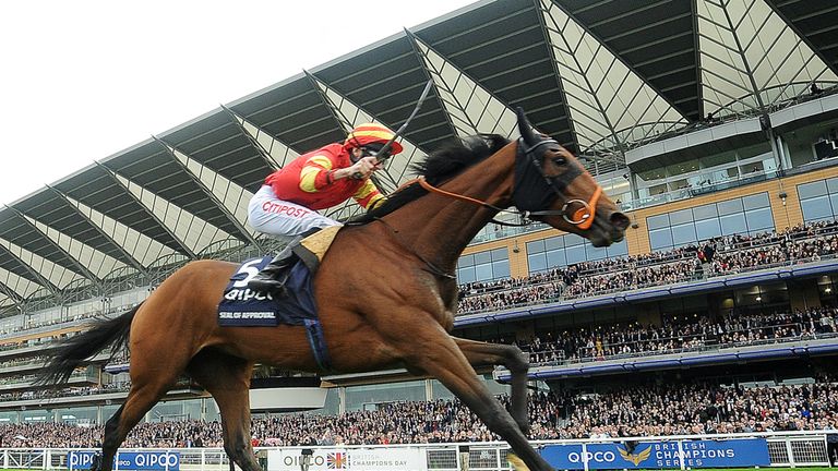 Seal Of Approval wins at Ascot last year.
