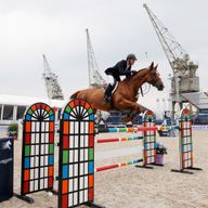 McLain Ward: helped the United States of America to victory