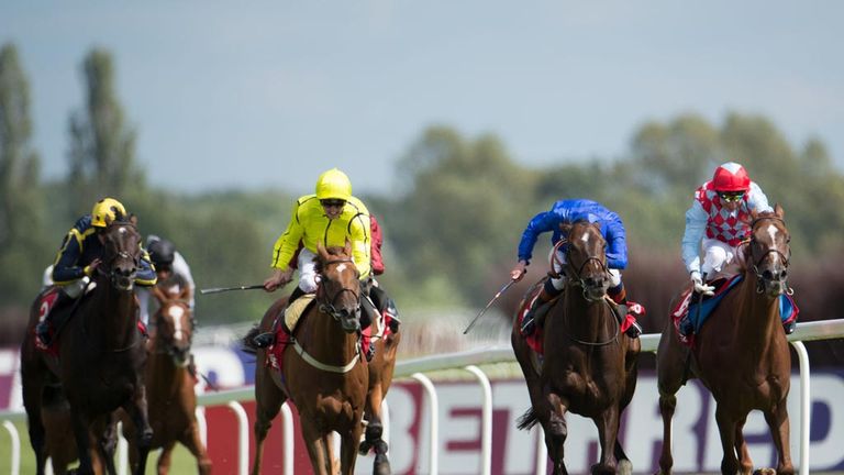 Seismos (front left) could run at the Curragh
