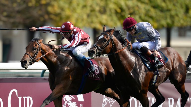Toronado (r) will stand at the National Stud