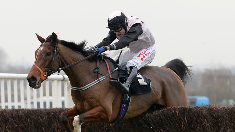 No Buts: Alex Hammond's tip for the Caspian Caviar Gold Cup at Cheltenham on Saturday