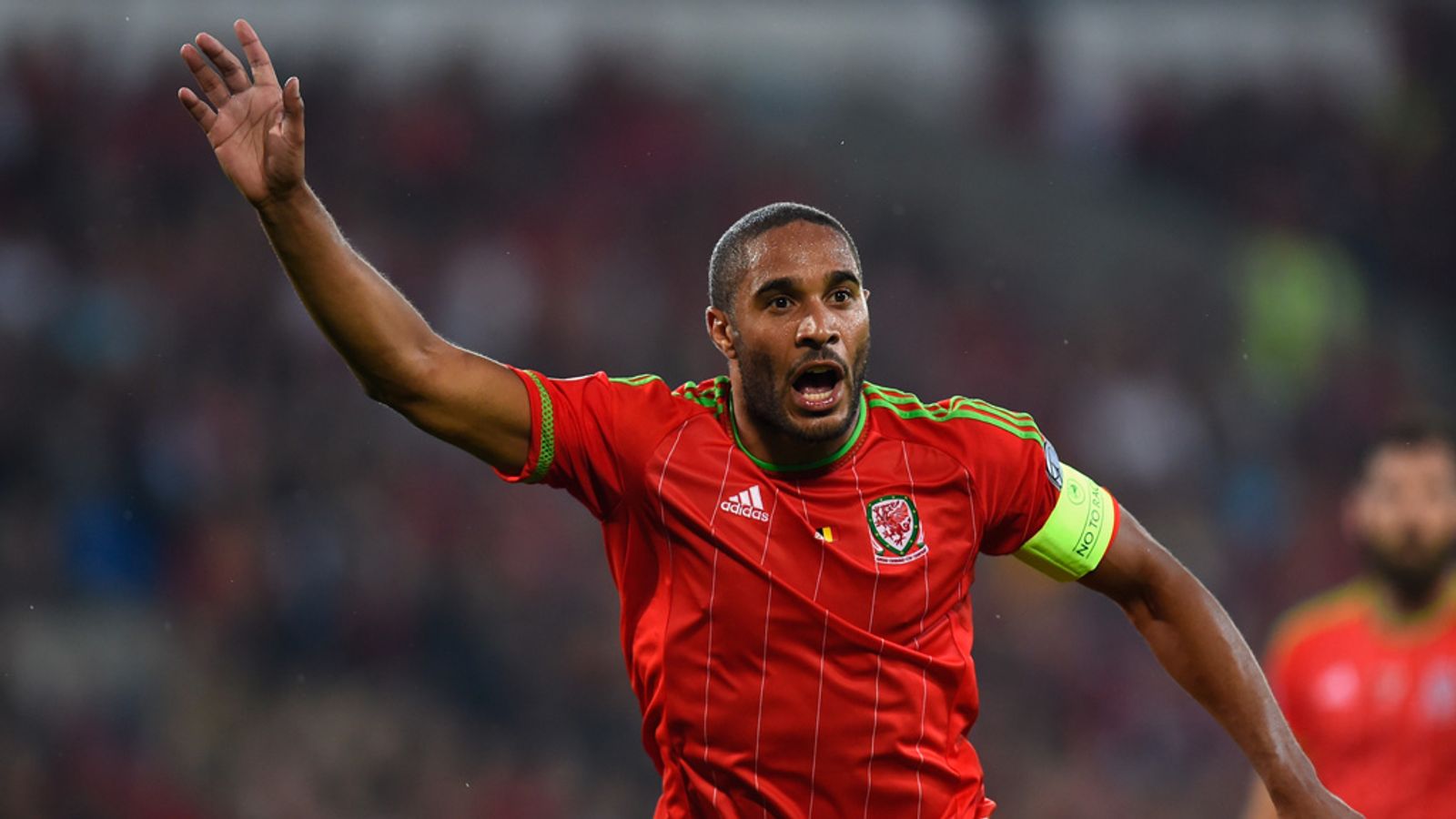 Ashley Williams says Wales will go into Euro 2016 with no fear
