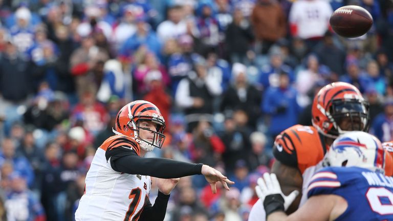 Andy Dalton, Rookie Quarterback, Quietly Leads Bengals - The New