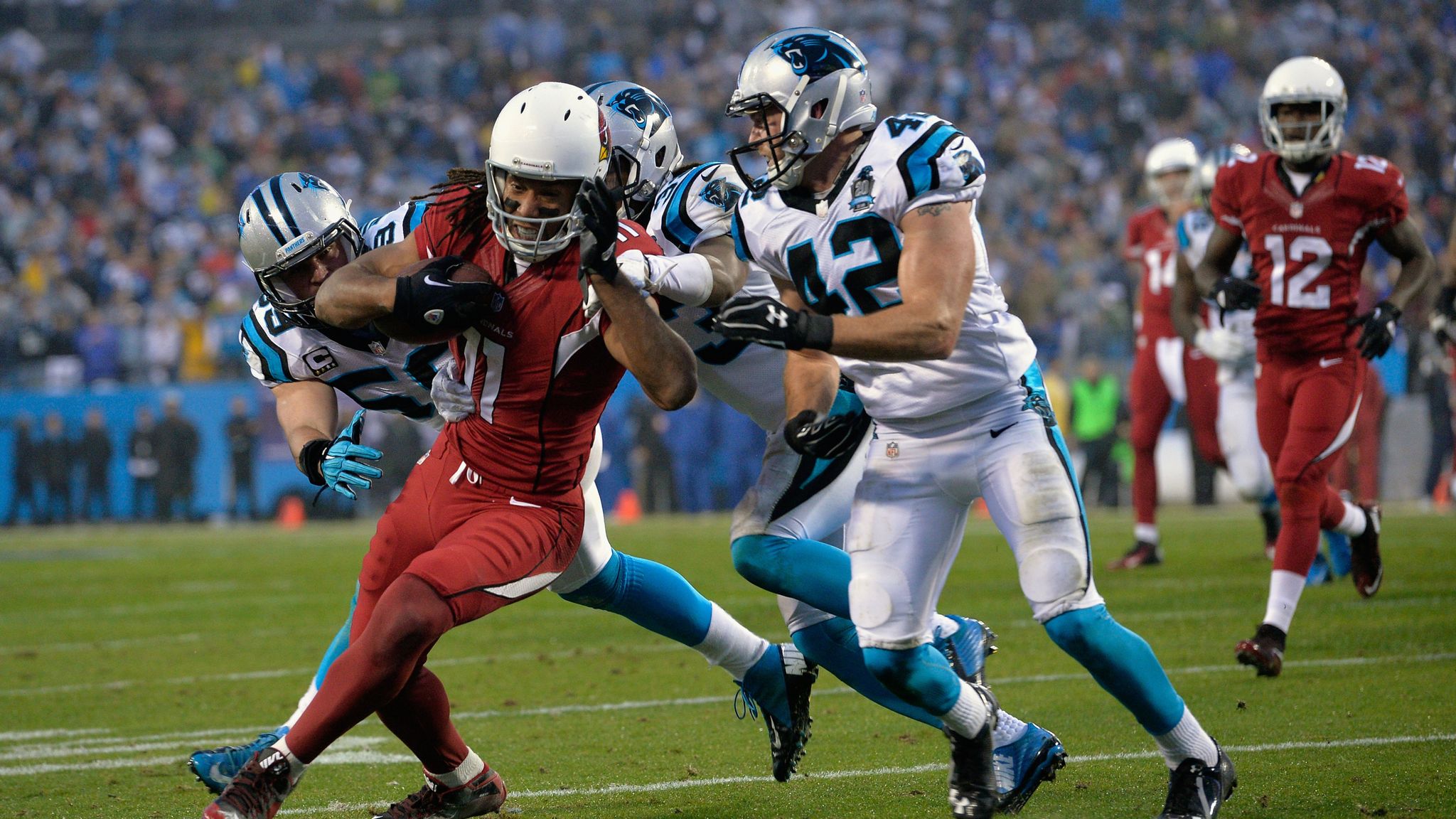 Super Bowl bound! Panthers beat Arizona 49-15 for NFC title