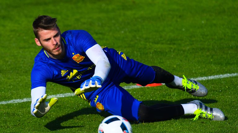 David de Gea was included in manager Vicente Del Bosque's starting XI