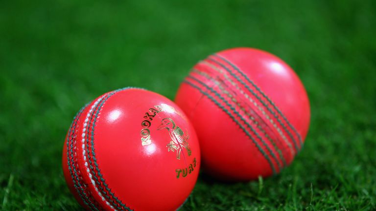 Day-night Test cricket moves a step closer with Warwickshire pink ball ...