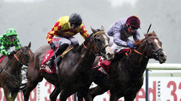 Mitchum Swagger (centre): Could be the one to be with at Haydock on Saturday, according to Alex.