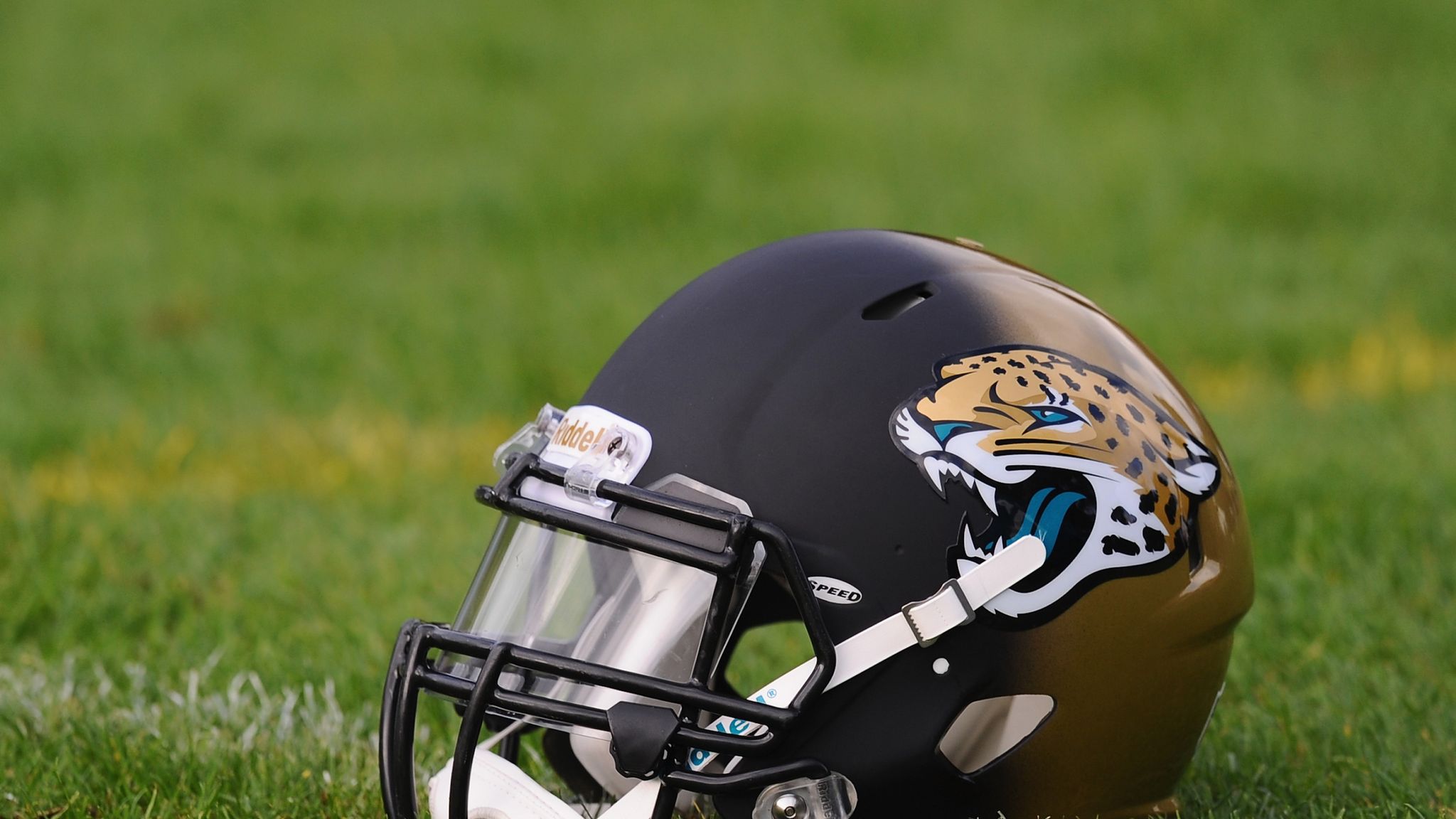 Jacksonville Jaguars stats and facts | NFL News | Sky Sports