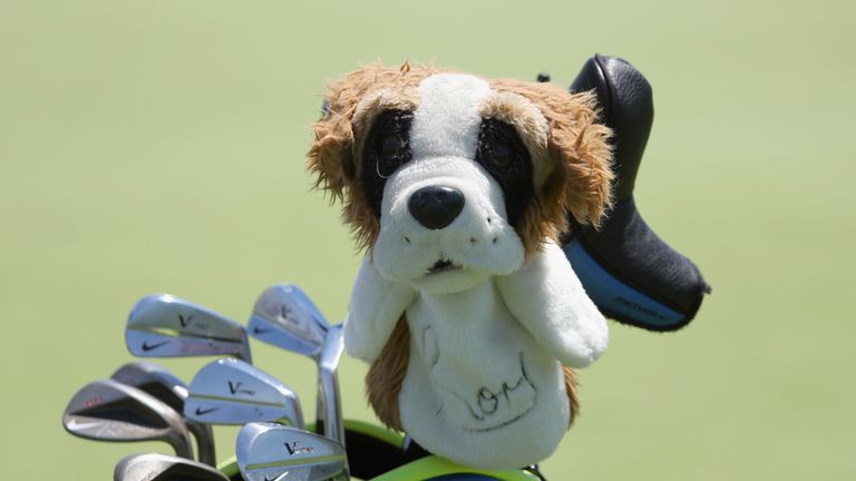 Would you copy Rory McIlroy and name your dog after a