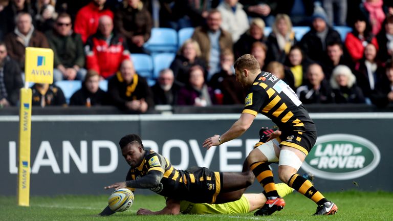 Wade reacts quickest to scores Wasps' first try