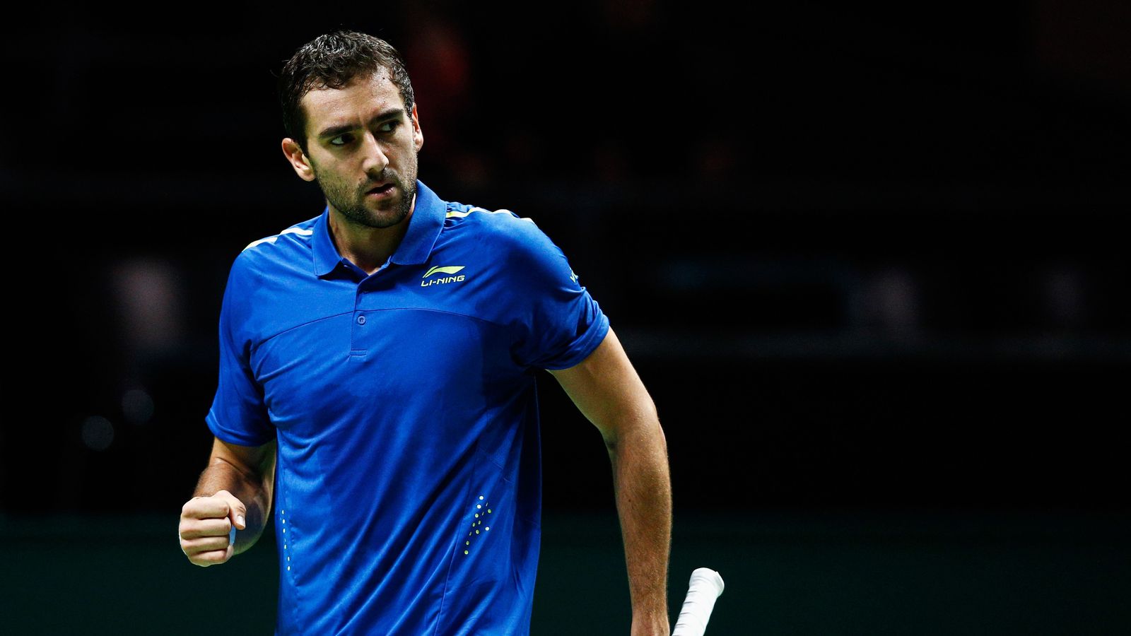 Marin Cilic, David Goffin and Tomas Berdych through at Rotterdam Open