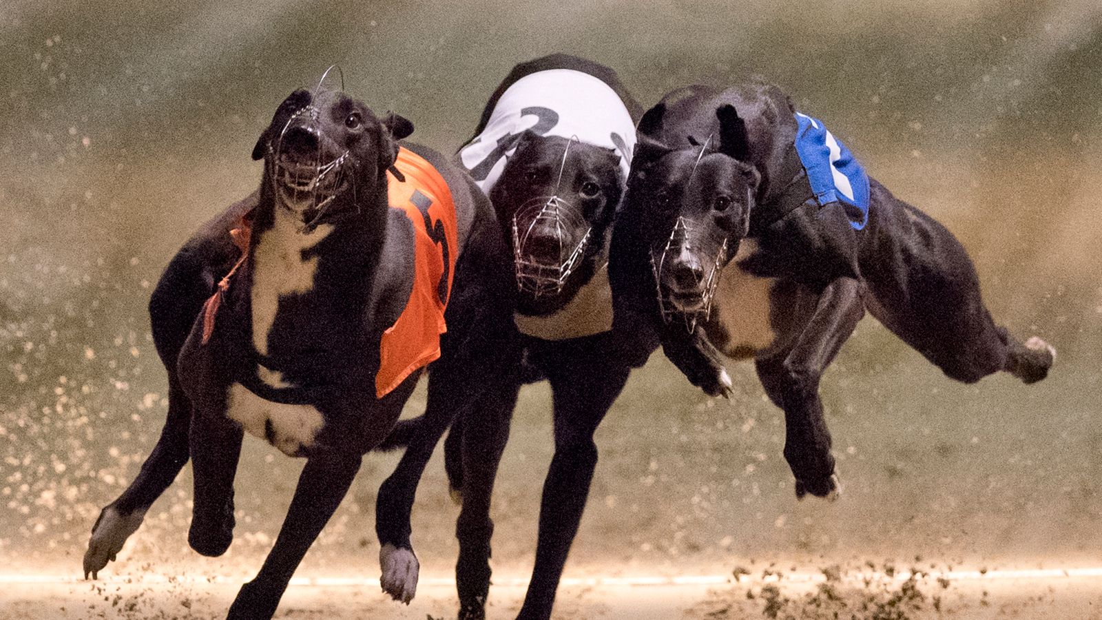 racing dudes picks today